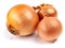 Three golden bulbs of ripe onions are isolated on a white background