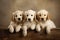 Three Golden Retriever puppies sitting on a wooden shelf. Studio shot, Group portrait of adorable puppies, AI Generated