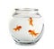 Three Goldfish in a Bowl