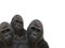 Three gorillas