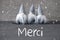 Three Gray Gnomes, Cement, Snowflakes, Merci Means Thank You