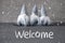 Three Gray Gnomes, Cement, Snowflakes, Text Welcome