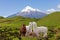 Three grazing alpaca animal snow top mountain landscape