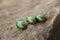 Three green beetles on a brown rock background
