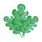 Three green oak leaves on a white square background. Styling is graphics. Fabulous underwater world.