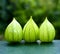 Three green physalis flowers on the garden background