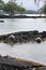 Three Green Sea Turtle resting on volcanic rock at Leleiwi Beach Park in Hawaii