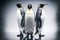 Three grey emperor penguins with white belly stand in snow and turn their heads to sides