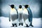 Three grey emperor penguins with white belly stand in snow and turn their heads to sides