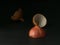 Three half parts of onion husk. Art composition close-up. Low key, dark background. Part of onion husk on black