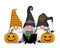 Three halloween gnomes with pumpkins and witch potion.