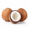 Three Halved Coconuts: Layered Fibers, Glossy Finish, Caninecore