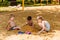 Three happy children in bathing suits play with sand on the beach
