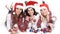 Three happy young women in costumes of Santa Claus