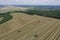 Three harvesters harvest ripe golden wheat in a grain field. Agricultural work in summer. John Deere green yellow combine