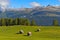 Three hay huts, Heustadl, on the Rotwand Meadow