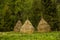 Three haystacks near the forest