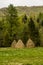 Three haystacks near the forest