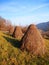 Three haystacks prepared on meadow