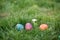 Three Hidden in the grass Easter eggs, which are painted in different colors