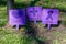 Three home made signs panted purple on a front yard lawn to commemorate Autism Awareness Day. They say Love, Faith and Cure.