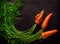 Three homegrown carrots with tops including some ugly ones on dark background