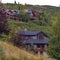 Three homes in the hills among the trees square