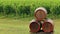 Three horizontal wine barrels stacked in front of the vineyards.