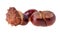 Three Horse Chestnut fruit