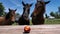 Three horses eager to eat the food on the table