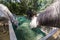 Three horses eating hay from a slow feeder in spring in a horse center..