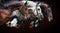 Three horses in jumping show, on brown background