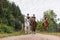 Three horsewomen enjoy riding horses side by side on a sunny day