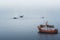 Three Humpback whales with fin swimming in ocean and feeding. Orange whale Watching tour boat ship in background