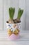 Three hyacinths in a colorful, decorative pot