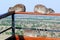 Three hyrax (dassies) herbivorous mammals lying on a railing-Serengeti-Tanzania