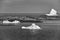 Three icebergs near Fogo Island