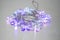Three Illuminated Crystal Clear Butterfly Lights