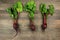 Three individual beetroots with leaves over rustic wood