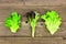 Three individual types of lettuce leaves, butter, red and green leaf, top view over wood