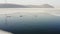 Three individuals of the Far Eastern seal swim among the ice floes in winter