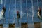 Three industrial climbers on a glass facade