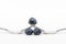 Three isolated blueberries balanced on crossed forks