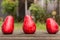 Three Jambu Guava on Wood Ground in Garden