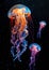 Three jellyfish swim in the dark ocean