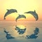 Three jumping dolphins at sunset