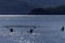 Three kayakers at Bonne Bay, Newfoundland