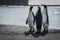 Three king penguins stretching necks on beach