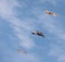 three kite flying on the blue sky