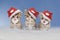 Three kittens with Christmas hats sitting in snow